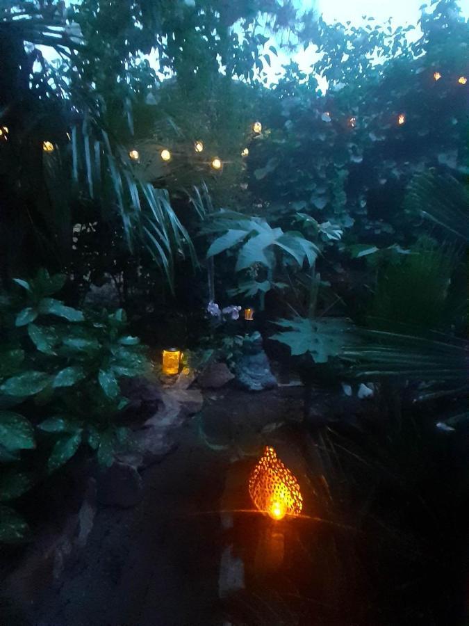 House W Little Tropical Garden Apartament