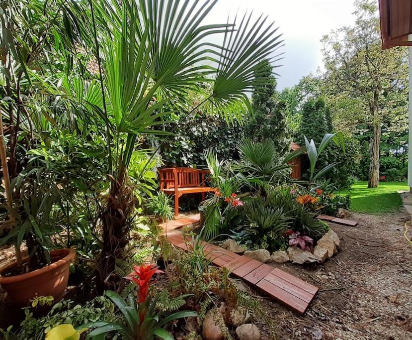 Apartamento House W Little Tropical Garden Budapeste