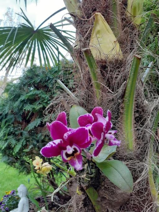 House W Little Tropical Garden Apartamento Budapeste