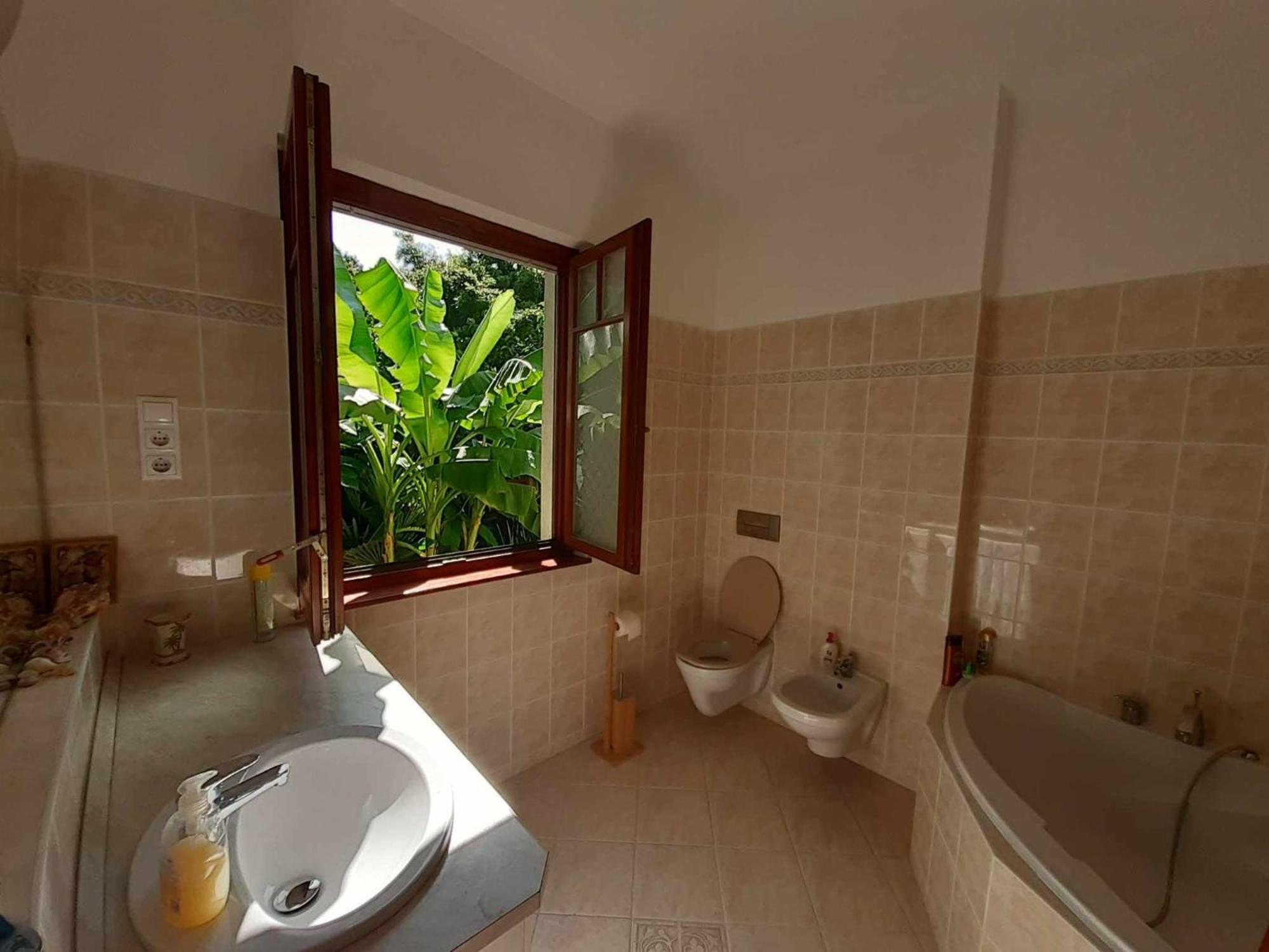 House W Little Tropical Garden Budapeste