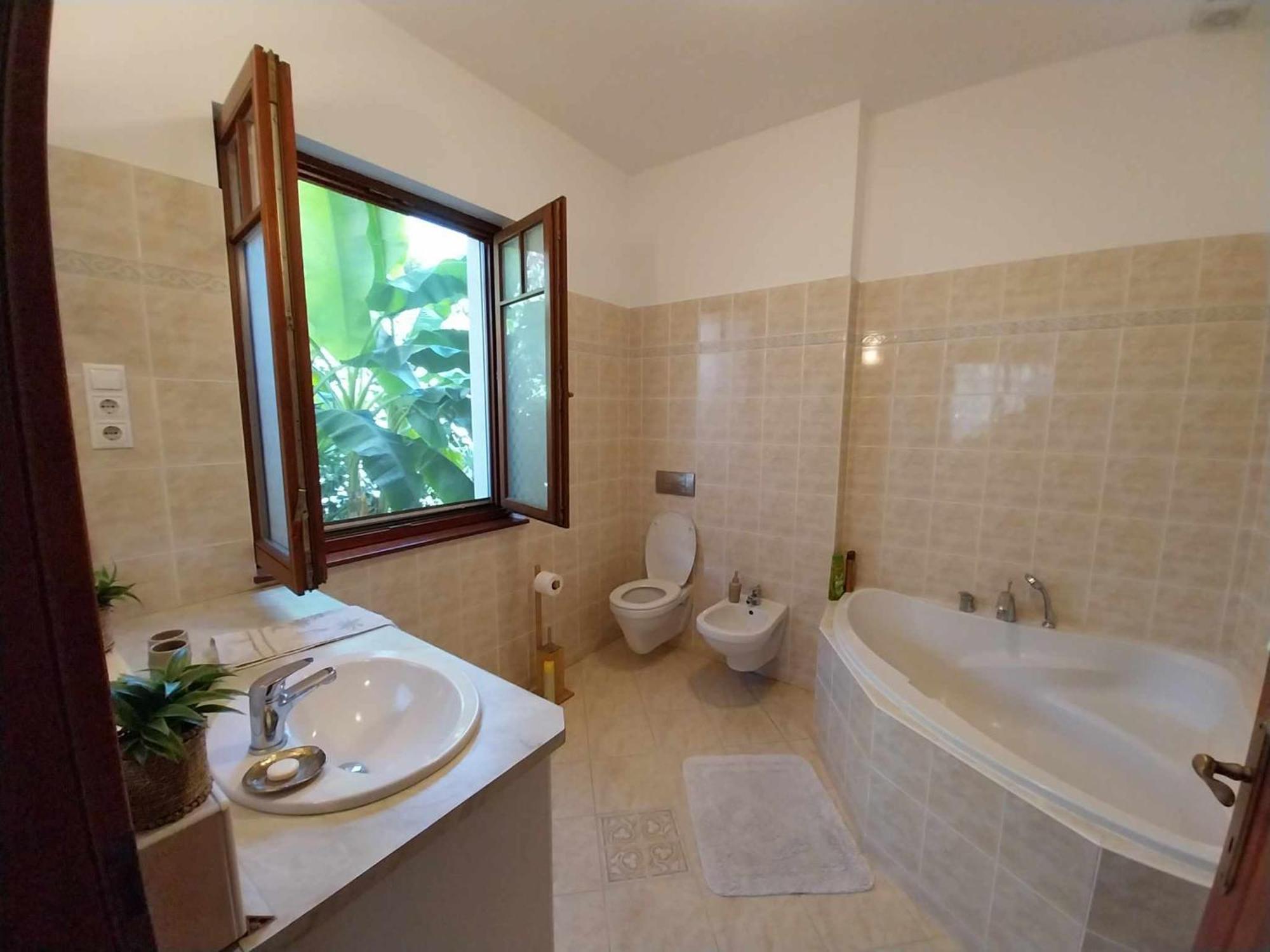 House W Little Tropical Garden * Budapeste